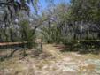 $65,000
Lake Wales, Almost 5 acres of beautiful land.