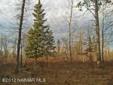 $67,840
Shevlin, Wooded 40 acres for hunting or building.