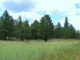 $69,000
10 acres of Ponderosa Pine Forest