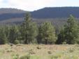 $69,000
10 acres of Ponderosa Pine Forest