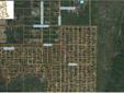 $6,000
Florida Land for sale 0% int. financed by owner $6,000.00 2 lots