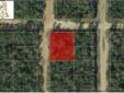 $6,000
Florida Land for sale 0% int. financed by owner $6,000.00 2 lots