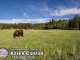 $700,000
This property is a horse lover's dream. 36 acres with pasture contained by