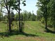 $70,750
28 Acres 10 Miles from Tennessee River/Hunting Property