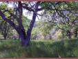 $795,000
511+ Acres of Hunting Property in Parkfield, CA