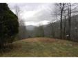 $85,000
Hayesville, 3.59 acre level lot in The Springs at Brooks