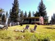 $87,000
Elbow Lake Cabin - Reduced