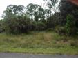 $9,900
North Port, Nice lot on road that ends in a cul-de-sac.Near