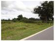 Long And Winding Rd. Groveland, FL 34736