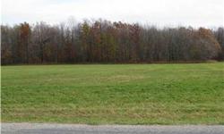 Beautiful 20 acre parcel waiting for your dream home. Eight acres of cleared land and 12 acres of walkable woods give you the ability to choose your perfect home site. Currently used for alfalfa hay. Very nice newer homes nearby. Topographic survey is