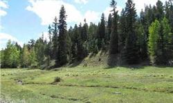 35 acres of tall aspen & pines, meadows & Black Mountain views. A seasonal stream is also part of the picture! This property feels like a perfect hideaway. The building sites for a full-time home here are numerous - build on the hill with views or down in