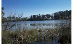 Lakefront building lot on Lake June in Midway, within commuting distance of Savannah and Fort Stewart! Two other adjoining lots available at same price. Bank owned property, priced for quick sale!
Bedrooms: 0
Full Bathrooms: 0
Half Bathrooms: 0
Lot Size: