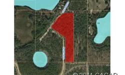 Hunter's dream - 10.60 acres teaming with wildlife and natural growth forest. Also, included is access to Vause Lake, a beautiful clear water spring fed lake to cool off on a hot summer day. Want more land? There is an adjacent 10.09 acres also availalbe