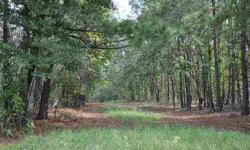 25.62 Acres at a great price. Perfect place to build your dream home or just have land to play on the weekend.Listing originally posted at http