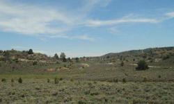 Rare opportunity to own large acreage in Paunsaugunt. Located on hilltop providing stunning views of some of the most amazing landscapes in Southern Utah. Elk, deer and turkey inhabit this fine ground located in The Paunsaugunt. 360 degree views of