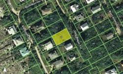 This lot is adjacent to 9526 Jolly Roger Trail, a wonderful beach house. The owner would like to sell the lot with the house as a package deal. Great location on a dead end road. If a house were built on this lot you would have a view of the Gulf. Gaspars