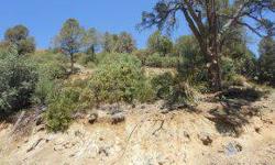 Gentle up sloping lot with tall Pinon Pines, lush Manzanita bushes and scrub oaks that has a great building pad on almost2/3rds of an acre that has been cleared and manicured of the heavy underbrush which makes it easy to walk this lot. Nice views of the