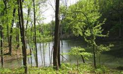 This is an amazing opportunity to own twenty acres only a 1/2mi from St. Louis county yet offering total serenity and privacy. Build your own custom dream home with a million dollar view of a gorgeous five acre lake.