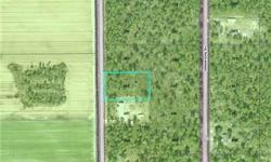 THIS BEAUTIFUL ACREAGE HAS VIEWS OF OPEN FARM LAND LOCATED IMMEDIATELY ACROSS THE ROAD. BRING ALL OFFERS. OWNER MOTIVATED.
Bedrooms: 0
Full Bathrooms: 0
Half Bathrooms: 0
Lot Size: 1.25 acres
Type: Land
County: SAINT JOHNS
Year Built: 0
Status: Active