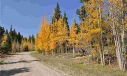 Peaceful location in Beaver Creek Meadows! Located in quiet cul-de-sac off of Platte River Drive. Many excellent building sites in the aspen and pine forest. Shed on property and driveway cut in. Great opportunity to own 7.17 acres of mountain paradise!