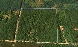 Presented for your consideration are 40 wooded acres, which can be used to build your dream country estate, recreational or hunting getaway, tree farm, or retirement home. This land is approx. a quarter mile square, located about a mile south of Irons,