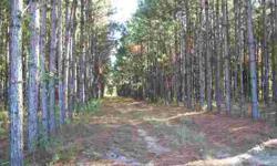 Property is mostly wooded with a mixture of planted pines, natural hardwoods and other native trees with some cleared areas making this parcel very desirable. Property has 2 wells, 2 septic tanks and 2 power poles and a 1984 singlewide mobile home that is