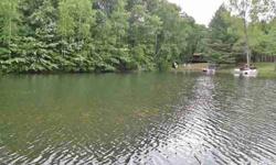 If you are looking for a cottage get away not too far to drive this is it. Quiet area on Golden Sands Lake even the paddle boat is included. And if you want t0 purchase the furniture that option is available also. Due to this being a stocking lake if you