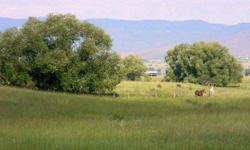 9.99 acres with remarkable unobstructed views of the Mission Mountains, Valley & Bison Range. Canal runs north and south on the east boundary of property. Fenced acreage with a diverse topography. Excellent building site and great horse property! Please