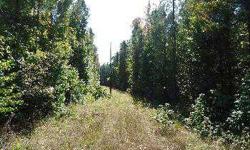 Fantastic 43.12 acre property that offers opportunities for recreational use, rural home site choices, or that getaway you?re always dreaming of. Property consists of a majority planted in three year pine plantation providing for future return on your