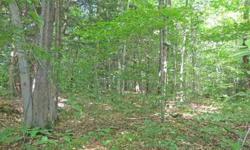 Amazingly beautiful wooded parcel with some nice, level road frontage to provide access and lots of interior land for privacy. Mix of hardwoods and pines makes this an ideal hunting property. Old logging trails enable easy access to all parts of the