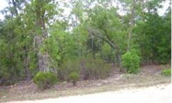1.11 Acres Building Lot- A Great Place For Home or Mobile Home, Just off The Paved Road, A Short Drive to Gainesville, Or Palatka. May owner finance(CL-220)
Bedrooms: 0
Full Bathrooms: 0
Half Bathrooms: 0
Lot Size: 0 acres
Type: Land
County: Putnam
Year