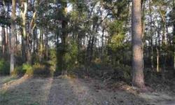 Great lot in the community of The Bridges of Litchfield surrounded by ponds, wetlands, live oaks and ocean breezes . Excellent price, won't last long. Centrally located in Pawleys Island. Close to beaches, restaurants, and shopping.