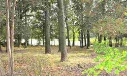 Build your dream home on this beautiful Lake front building lot. Nestled in the tranquil neighborhood of Bells Lake on a cul de sac. Needs a variance to build. Wetlands approved. Inquire with Washington Township for building info.Listing originally posted