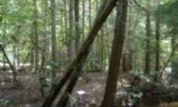 Just barely into Kentucky lies this tract on Otter Creek. Perfect for hunting, camping, or cabin residences. Hemlocks, flowering trees, deep woods. Timber cut about 20 years ago. Near the Big South Fork National Park in Kentucky. Located off of Kingtown