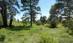 Great passive Solar exposure, directly adjacent to the San Juan National Forest, area abounds with wildlife. Pristine park-like setting, this 35 acre property is nicely covered with trees making it very private, big views of Chimney Rock and surrounding
