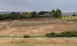 Nice location, level building area. Community Well, irrigation water, power to property, ready to build. Seller Financing!Listing originally posted at http