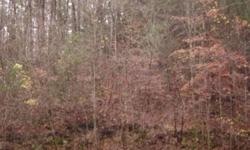 Good hunting land in Hawkins County. Great for a private retreat. Not far to Cherokee Lake for good boating and fishing. Not far to Kentucky. Heavily wooded. Creek on property. Click on paperclip at top to see plat. FINANCING AVAILABLE.Listing originally