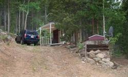 RUSTIC RED CABIN ON ONE ACRE, NESTLED IN THE TREES IN BROOK FOREST ESTATES, EVERGREEN-1 BED/1 BATH W/ COZY FAMILY ROOM. COVERED FRONT PORCH + DECK W/ MUD ROOM. GALLY KITCHEN W/ APPLIANCES. LARGE UTILITY SHED. PLENTY OF PARKING ON LARGE DRIVEWAY. CABIN IS