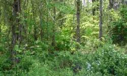 Lot size is approximate. Nice wooded lot on Forest Lake Road located outside the city limits but only minutes from town. Adjacent lot available plus 6 more contiguous lots on the same road. No mobiles allowed. Homes must be at least 1200 sq.ft. Owner may