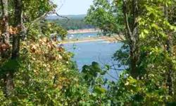 If you are looking for an affordable Bull Shoals Lake lot, check it off your list. Lot will offer year round lake view with clearing. City water is in and just need shooked up. City sewer will need to be brought to property, but is pretty close to