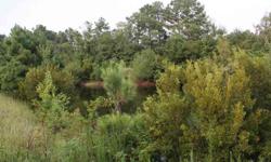 2.5 acre "Hidden Treasure" with a soothing 1/2 acre pond for fishing. This budget-smart property is an amaz
Listing originally posted at http