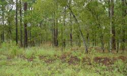 WOODED 1.4 ACRE LOT. Site built or manufactured homes okay. Convenient to Ocala or Gainesville. For more information contact LINDA JANE CRAMER at lindajane@hdownsrealestate.com or cell 352/843-1133. BY APPOINTMENT ONLY....WACLS #48787.Listing originally