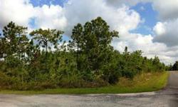 Low Price = Motivated Sellers! Love Country Living? Want Vacant Land? This is a Perfectly Priced Lot To Build Your Home or for a Mobile Home. High & Dry Corner Lot, .75 Acres with No HOA or Deed Restrictions. Located on the Corner of Pierre Ave & Helena