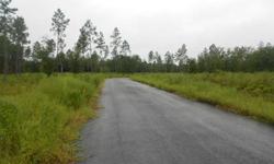 New subdivision with community well, paved streets with electricity and phone to each lot. Lots restricted to site build homes. Will sell lots or build you a home. Homes qualify for 0% down and can build your new home starting under $100,000.00. Call for