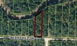 OWNER FINANCING AVAILABLE! Nice lot on canal. .52 acre (mol) in homes only area of Ridge Manor Estates. Secluded quiet area great for investment or to build your home in paradise, Close to the Withlacoochee River, Croom riding trails, state forest,