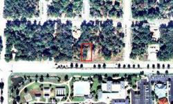 LAND FOR SALE. RESIDENTIAL LOT IN ORANGE BLOSSOM HILLS JUST NORTH OF THE VILLAGES LOCATED ON CR 42. FANTASTIC LOCATION, CLOSE TO RESTAURANTS AND SHOPPING. LOCATED ACROSS THE STREET FROM THE VILLAGES MULBERRY PUBLIX PLAZA. ENJOY ALL THE DINING, SHOPPING,