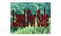 Best value in King William. 6 lots availble. Buy one today and bring your own builder. Come enjoy the conveniece of Central crossing. Located behind the Food Lion Shopping Center at Central Garage. Route 30 and 360. Minutes from West Point,