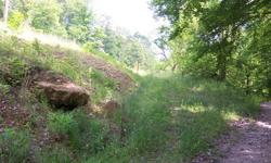 This property has it all, building sites, hunting land, large rock formations for climbing, 4 wheeler trails, marketable timber, and blackberries. Many 2 wheel drive accessible building sites available with electric already there. There are 2 drilled