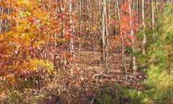 $110,000. So many opportunities go with this land. Great for hunting since there are 23 acres of woods filled with wildlife. Rental cabins would be perfect for this area. Home site among the trees would allow privacy and seclusion. This property would be