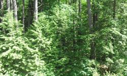 If you love privacy, nature and wildlife you will want to see this land located on a quiet country road between Lake George & Saratoga. There are four separate deeded lots being sold together that may have some timber value. Give us a call and we would be